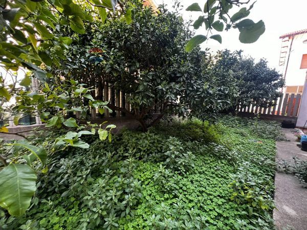 Casa Indipendente Casalbordino, CH Vendita - Foto 3
